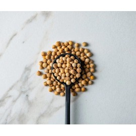 Savory Spice Coriander Seeds - Whole Coriander Seeds for Cooking | Great for Pickling, Marinades and Curry (1 Cup Bag - Net: 2.3 oz)