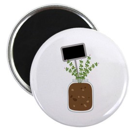 CafePress Thyme Jar Magnets 2.25" Magnet (100 pack)