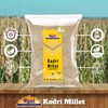 Rani Kodri (Polished Kodo Millet Seeds) Ancient Grains, 64oz (4lbs)