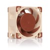 Noctua NF-A4x20 PWM, Premium Quiet Fan, 4-Pin (40x20mm, Brown)