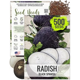 Seed Needs Radish Seeds for Planting Black Spanish Radishes - Non-GMO, Heirloom & Untreated - Grow a Home Grown Vegetable Garden - Cool Weather Crops (1 Pack)