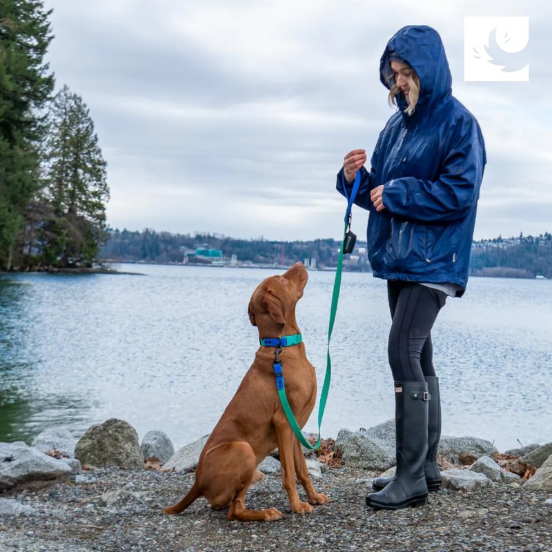 RC Pets Durable, Odor-Resistant, Easy-Clean Waterproof Collar | Red, Medium