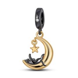 Pandach 925 Sterling Silver Charms for Bracelet&Necklace Dangle Pendant Bead with 5A Cubic Zirconia Stones,Jewelry Beads Gifts for Women