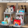POUGNY 2PC Under Sink Organizer Rack 2 Tier Under Sliding