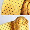 HISDERN Yellow Ties for Men Polka Dot Wedding Tie Handkerchief