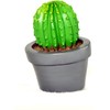 G & F Products 10062 Garden Miniature - Succulent