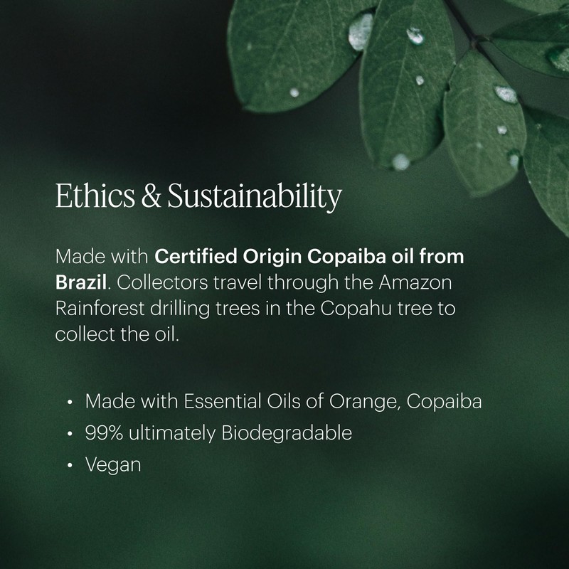 Aera Mini White Tea - Essential Oil for Home -