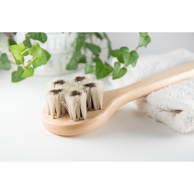 Art Brush Company Horse Hair Body Brush, Sakura (Eve)