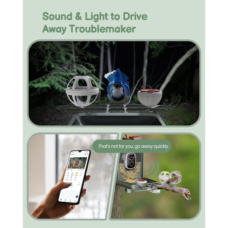 Smart Bird Feeder with Camera Outdoor: Solar Birdfeeder Cam for