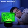 Deluisho Can't Hear You I'm Gaming Night Light, Anime 3D