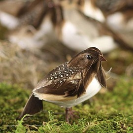 Factory Direct Craft Set of 12 Feathered Artificial Partridge Birds with Wired Feet - Partridge in a Pear Tree Christmas Ornament Decoration (Size - 3-1/2" L x 1-1/2" W)