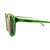 Source Eyewear Palma Polarized Sunglasses