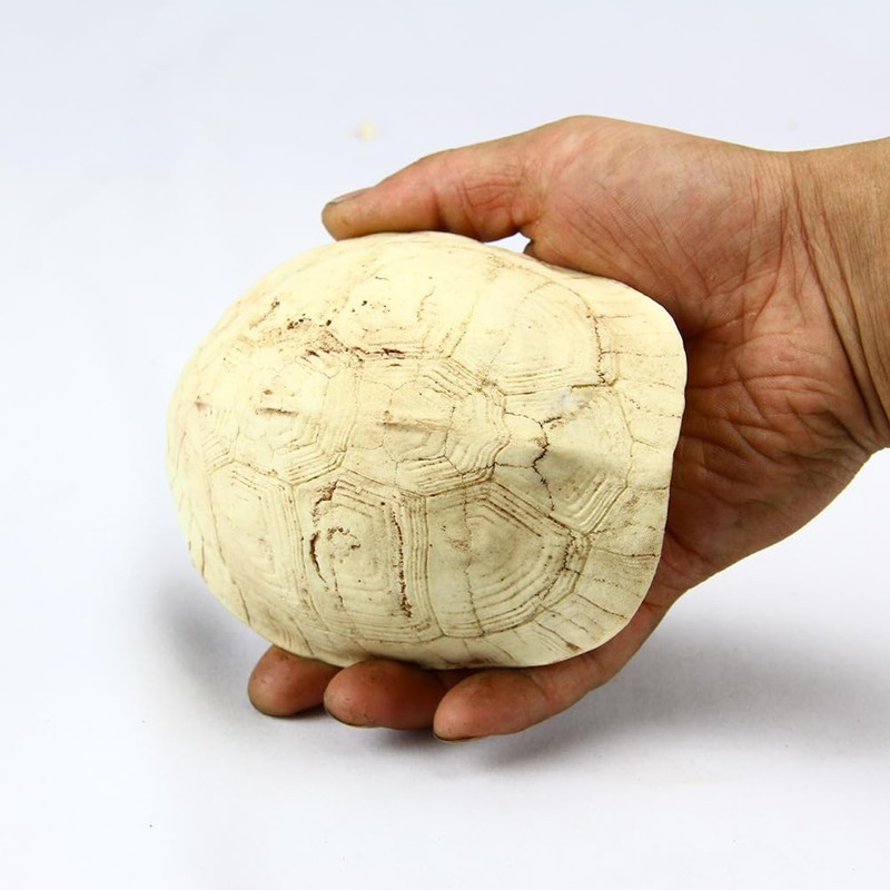 FOMIYES 1pc Reptile Rest Cave Turtle Shell Resin Reptile Hide