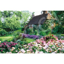 Jigsaw Puzzle 2016 vs Piece Cottage in Flower Garden 2016 x 75cm 22-507s