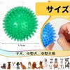 MUYYIKA Dog Toy, Ball, Sound Chewing Toy, Toothpaste, Natural Rubber,