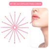 200 Piezas Cepillos Labios Pinceles Lápiz Labial Aplicadores Brillo
