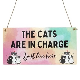 Second Ave Funny The Cats Are In Charge Wooden Hanging Rectangle Home Sign Plaque