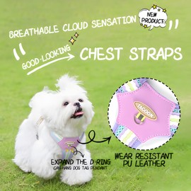 LOXHGP Dog Harness with Reflective Strips & Breathable Mesh - No-Pull Vest for Small Dogs, Step-in Design Includes Leash