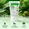 Dievu Diebu Casal Cream 100ml Watery Glow Antioxidant / 디에뷰