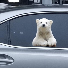 LEMONSODA Animal Car Window Decals Funny 3D Weatherproof Decals (Polar Bear)