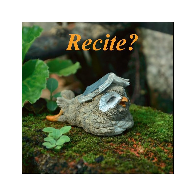 Gemmia Miniature Garden Fairy Book Lover Reading Figurines- Schoolbag Rabbit(Notice