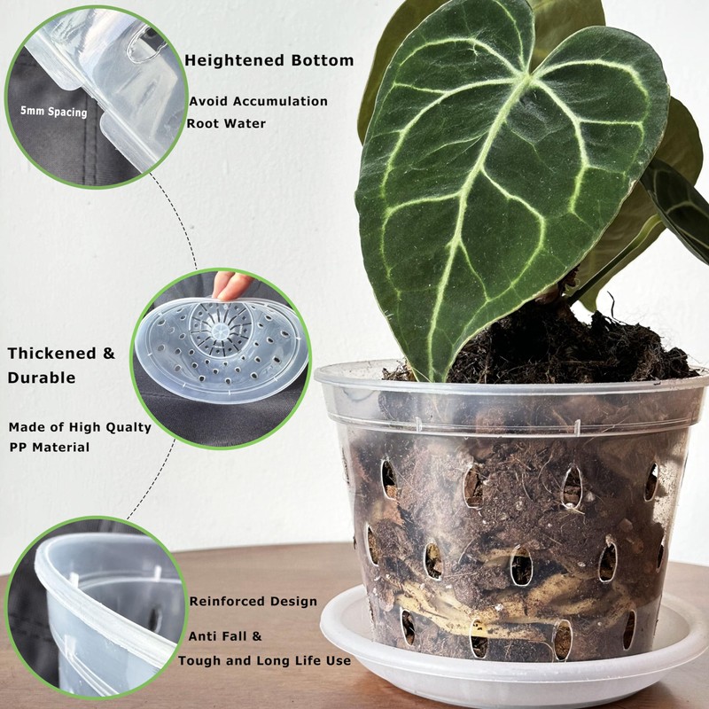 Clear Flower Pots with Holes and Saucers for Tropical Plants