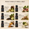 Luxury Hotel Collection Diffuser Oil Set- 6 x 5 mL