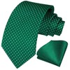 HISDERN Green Ties for Men Polka Dot Wedding Tie Handkerchief