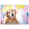 Golden Retriever Hailey Photo Calendar (Wall Calendar 2026 DIN A4