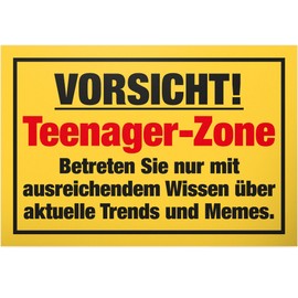 DankeDir! Teenager Zone - Sign 30 x 20 cm - Gift Idea Boys & Girls Teenagers Room Door Sign Saying Room Decoration Birthday Gift Idea Room Decoration Door Decoration Teenagers