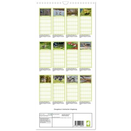 Familienplaner 2025 - Graugänse in heimischer Umgebung mit 5 Spalten (Wandkalender, 21 cm x 45 cm), CALVENDO