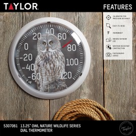 Taylor Nature Series Indoor Outdoor Owl Thermometer, Easy to Read Wall Decor for Patio, Pool, Yard, Garden or Garage, 13.25 Inch, Gray Bezel
