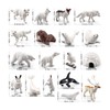 Arctic Animal Figurine Set 18pcs Kid Simulated Arctic Hare Reindeer