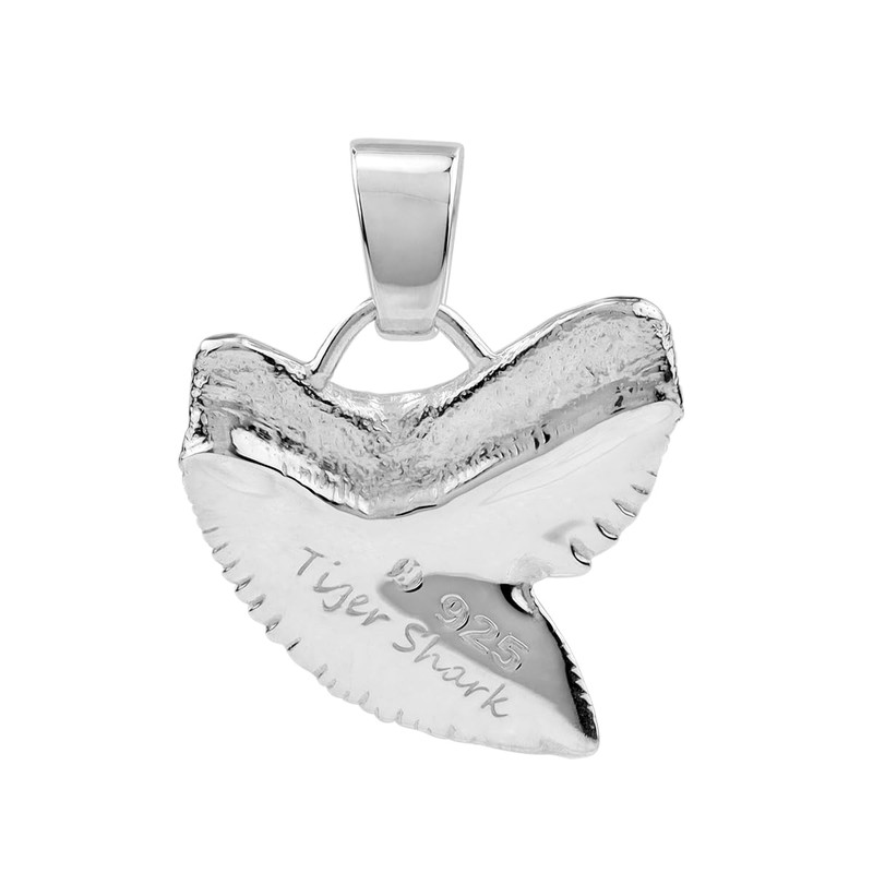 Silvershake White Gold Plated 925 Sterling Silver Tiger Shark Tooth