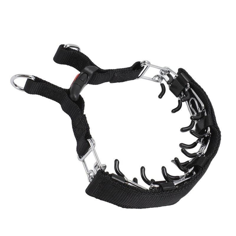 Prong Dog Training Collar Professional Adjustable Prong Pet Collar with