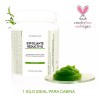 B. Natural Spa Gel Exfoliante Reductivo Estiliza Purifica 1 Kilo