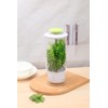 TechTack Herb Keeper and Herb Saver – Premium Borosilicate Glass