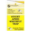 Natures Good Guys Sticky Aphid and Whitefly Trap (5 pack)