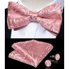 DiBanGu Mens Pre Tied Bow Tie Silk Adjustable Bow Tie