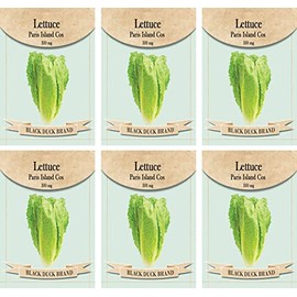 Set of 6 Vegetable Seed Packs - Create a Deluxe Garden - All Seeds are Heirloom - 100% Non-GMO (Lettuce Paris Island Cos)