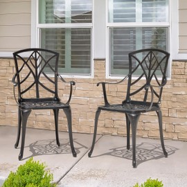 NUU GARDEN Patio Chairs Set of 2 Outdoor Dining Chairs, Cast Aluminum Patio Dining Chairs with Armrest for Garden, Balcony, Backyard, Support 300 lbs, Black with Gold-Painted Edge