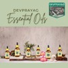 Devprayag Pure Coriander Essential Oil (Coriandrum sativum) Natural Therapeutic Grade