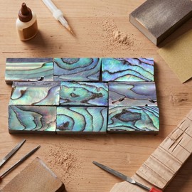 10Pcs Abalone Shell Guitar Abalone Shell Pieces Abalone Shell Sheet Inlay Fingerboard Guitars Inlay Material Guitar Fretboard Inlays