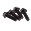 Wolf Tooth Precision Anodized Water Bottle Cage Bolts - 4