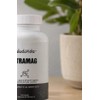 Citrato de Magnesio 200 Cápsulas de 500 mg Citramag SaludVida
