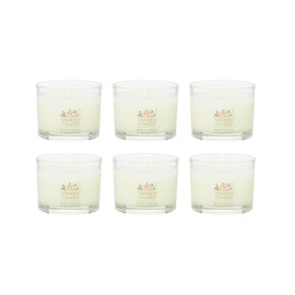 Yankee Candle Signature Votive Mini Candle Jar, White Spruce & Grapefruit Scent, Natural Soy Wax Blend Candle with Natural Fiber Wick, 1.3 OZ Glass Jar (Pack of 6)
