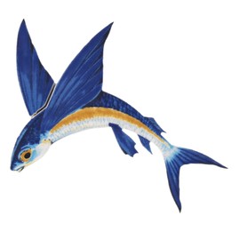 Flying Fish A Porcelain Swimming Pool Mosaic (7" x 6" (Reverse))