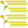 Boromine Fruit Fly Traps - 60 Pack Yellow Sticky Traps