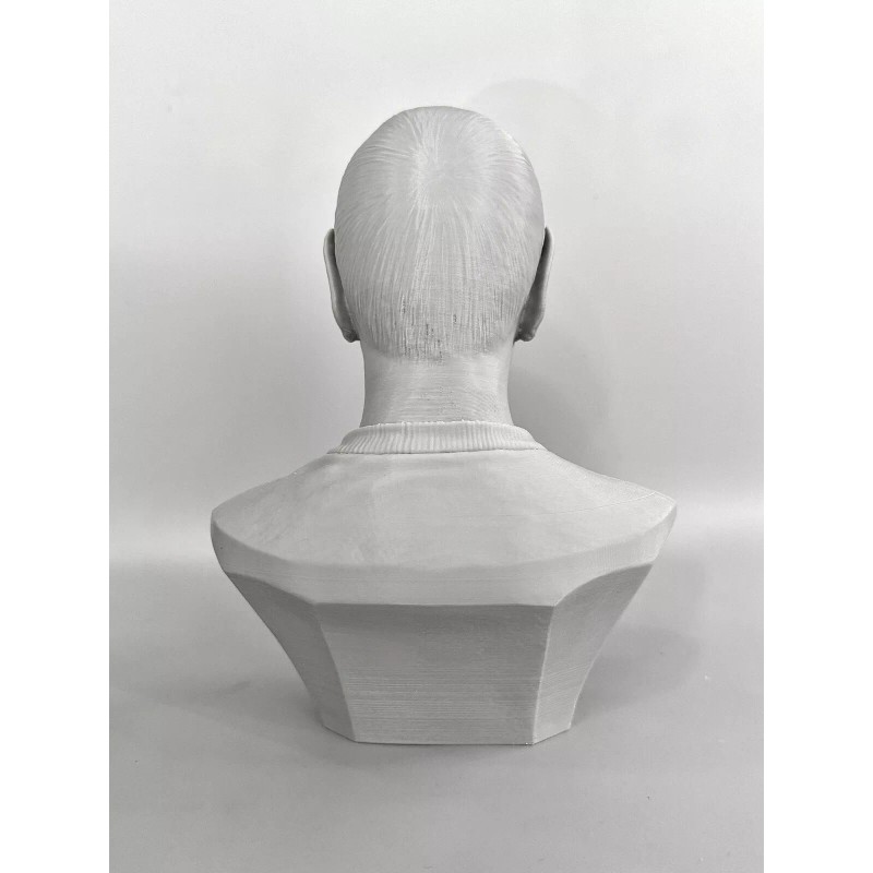 Star Trek The Original Series Spock 3D printed Bust 6.75Inches