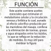 Laferv Aceite Para Masajes Efecto Reductivo 4 L Tamaño Spa